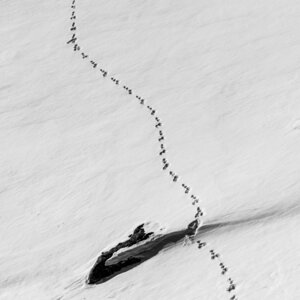 Janvier 23_col de Larche, col de Larche-11012023-_1057240