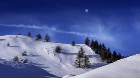 Janvier 23_col de Larche, col de Larche-12012023-_1057259