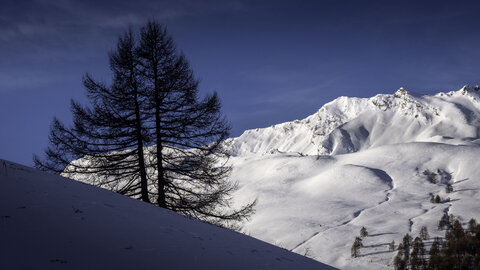 Janvier 23_col de Larche, col de Larche-12012023-_1057261