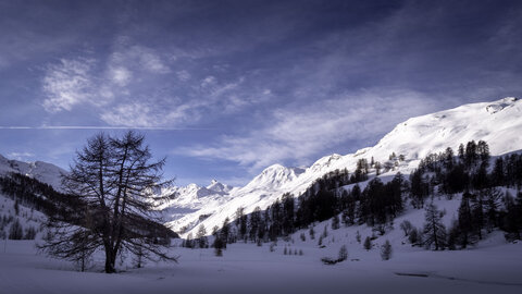 Janvier 23_col de Larche, col de Larche-12012023-_1057265