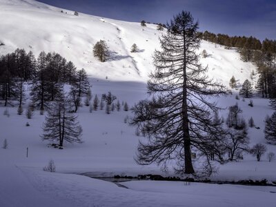 Janvier 23_col de Larche, col de Larche-12012023-_1057267