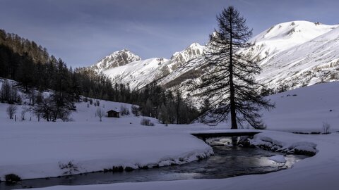 Janvier 23_col de Larche, col de Larche-12012023-_1057268