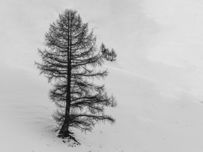 Janvier 23_col de Larche, col de Larche-12012023-_1057272-Modifier-2