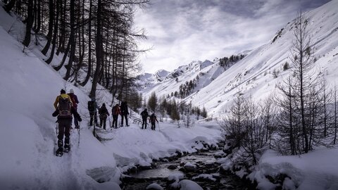 Janvier 23_col de Larche, col de Larche-12012023-_1057279