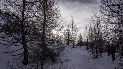 Janvier 23_col de Larche, col de Larche-12012023-_1057281