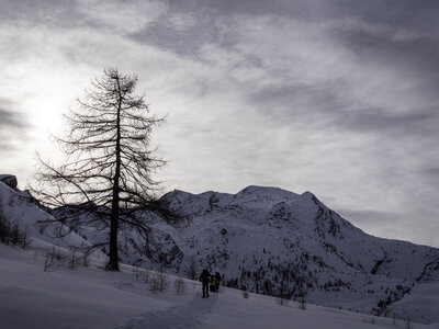 Janvier 23_col de Larche, col de Larche-12012023-_1057284