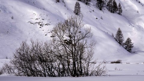 Janvier 23_col de Larche, col de Larche-12012023-_1057307