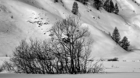 Janvier 23_col de Larche, col de Larche-12012023-_1057307-2