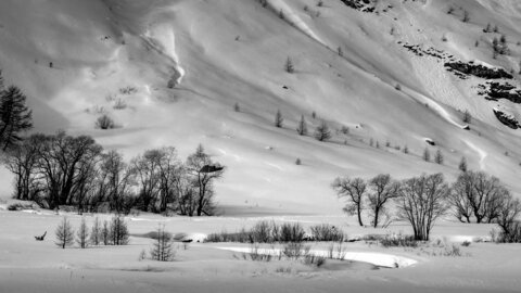 Janvier 23_col de Larche, col de Larche-12012023-_1057308