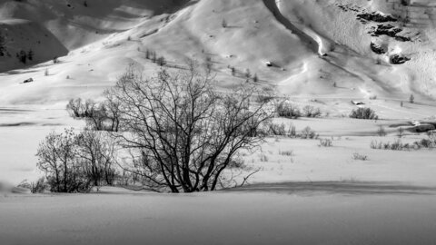 Janvier 23_col de Larche, col de Larche-12012023-_1057309