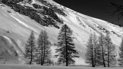Janvier 23_col de Larche, col de Larche-12012023-_1057314