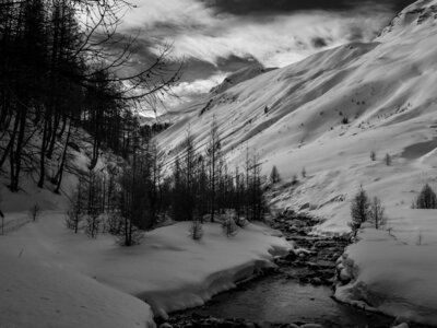 Janvier 23_col de Larche, col de Larche-12012023-_1057315
