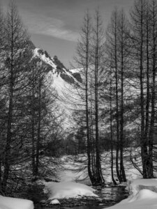 Janvier 23_col de Larche, col de Larche-12012023-_1057317