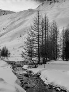 Janvier 23_col de Larche, col de Larche-12012023-_1057318
