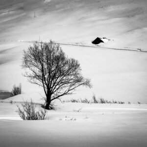 Janvier 23_col de Larche, col de Larche-12012023-_1057329