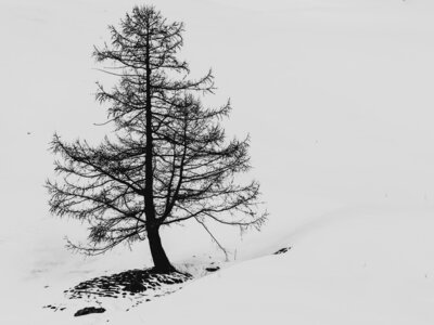 Janvier 23_col de Larche, col de Larche-12012023-_1057334-2