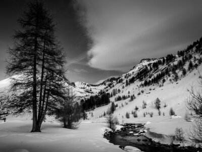 Janvier 23_col de Larche, col de Larche-12012023-_1057343