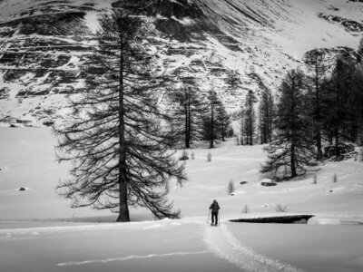 Janvier 23_col de Larche, col de Larche-12012023-_1057346