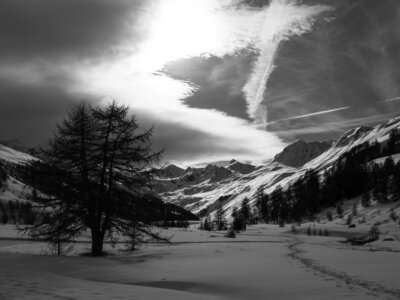 Janvier 23_col de Larche, col de Larche-12012023-_1057348