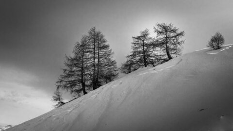 Janvier 23_col de Larche, col de Larche-12012023-_1057358