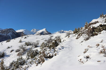 Séjour raquettes à Larche (1er jour), Séjour raquettes à Larche Plateau de Mallemort 005