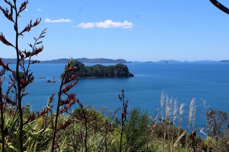 Nouvelle Zélande, NZ061