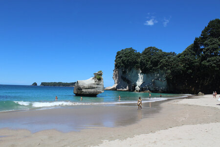 Nouvelle Zélande, NZ077