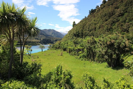 Nouvelle Zélande, NZ382