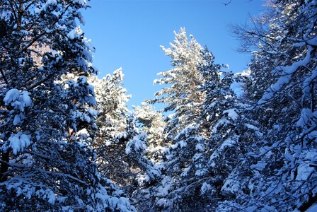 Ancelle, les Taillas, La Pinouse 19 janvier 2023, DSC_0023