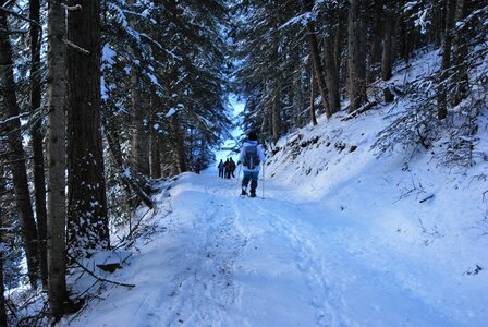Ancelle, les Taillas, La Pinouse 19 janvier 2023, DSC_0046