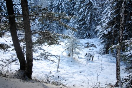 Ancelle, les Taillas, La Pinouse 19 janvier 2023, DSC_0047