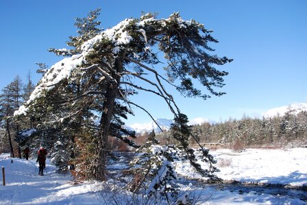 Ancelle, les Taillas, La Pinouse 19 janvier 2023, DSC_0082