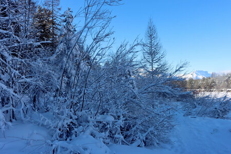 Boucle de la Pinouse, La Pinouse  27 