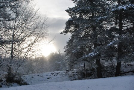 Ancelle 24 janvier 2023, DSC_0114