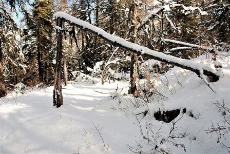 Ancelle 24 janvier 2023, DSC_0211