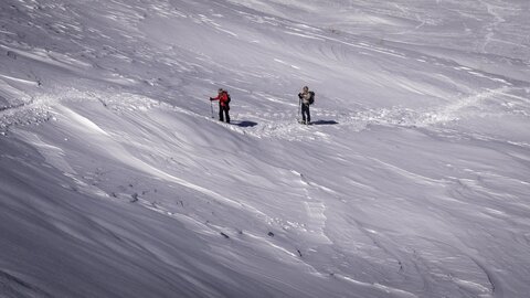 310123 jujal, sans titre-31012023-_1057417
