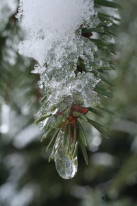 Rando Samoens - Sixt, IMG_4944