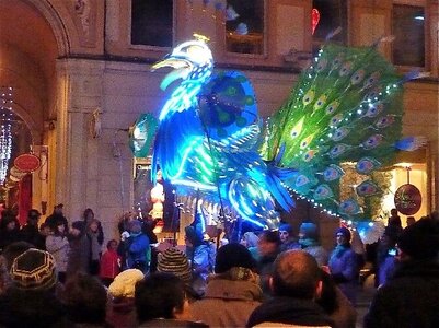 fetes des lumieres, Fetes_des_lumieres_2012  12 