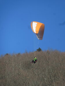Breit au soleil en février, IMG_5824