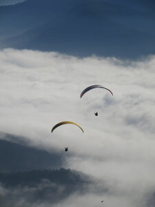 Breit au soleil en février, IMG_5782