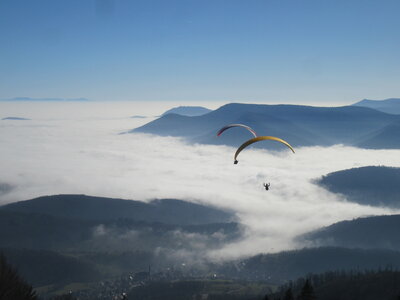 Breit au soleil en février, IMG_5778