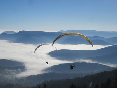 Breit au soleil en février, IMG_5776