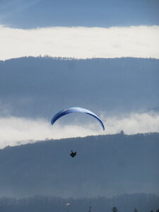 Breit au soleil en février, IMG_5772