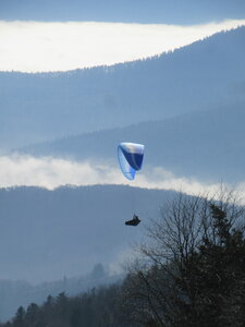 Breit au soleil en février, IMG_5771