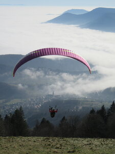 Breit au soleil en février, IMG_5760