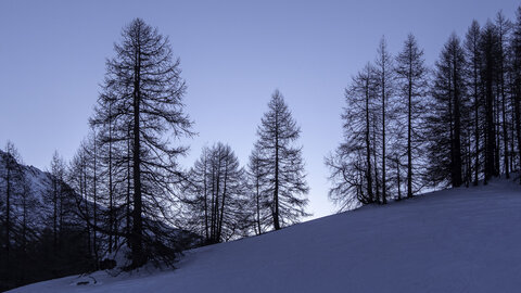 140223 le Pic Traversier, col de Longet-14022023-_1057509