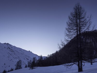 140223 le Pic Traversier, col de Longet-14022023-_1057510