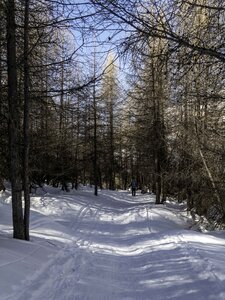 140223 le Pic Traversier, col de Longet-14022023-_1057551