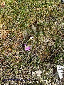 La Pointe Feuillette, IMG_20230216_104123