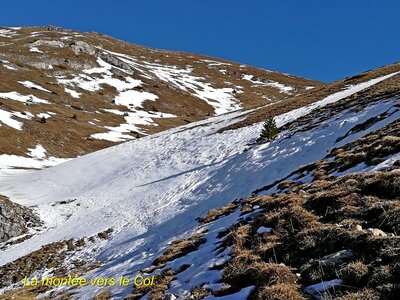 La Pointe Feuillette, IMG_20230216_110050